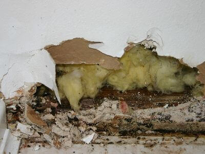 Professional 24 hour water damage restoration services in Portland